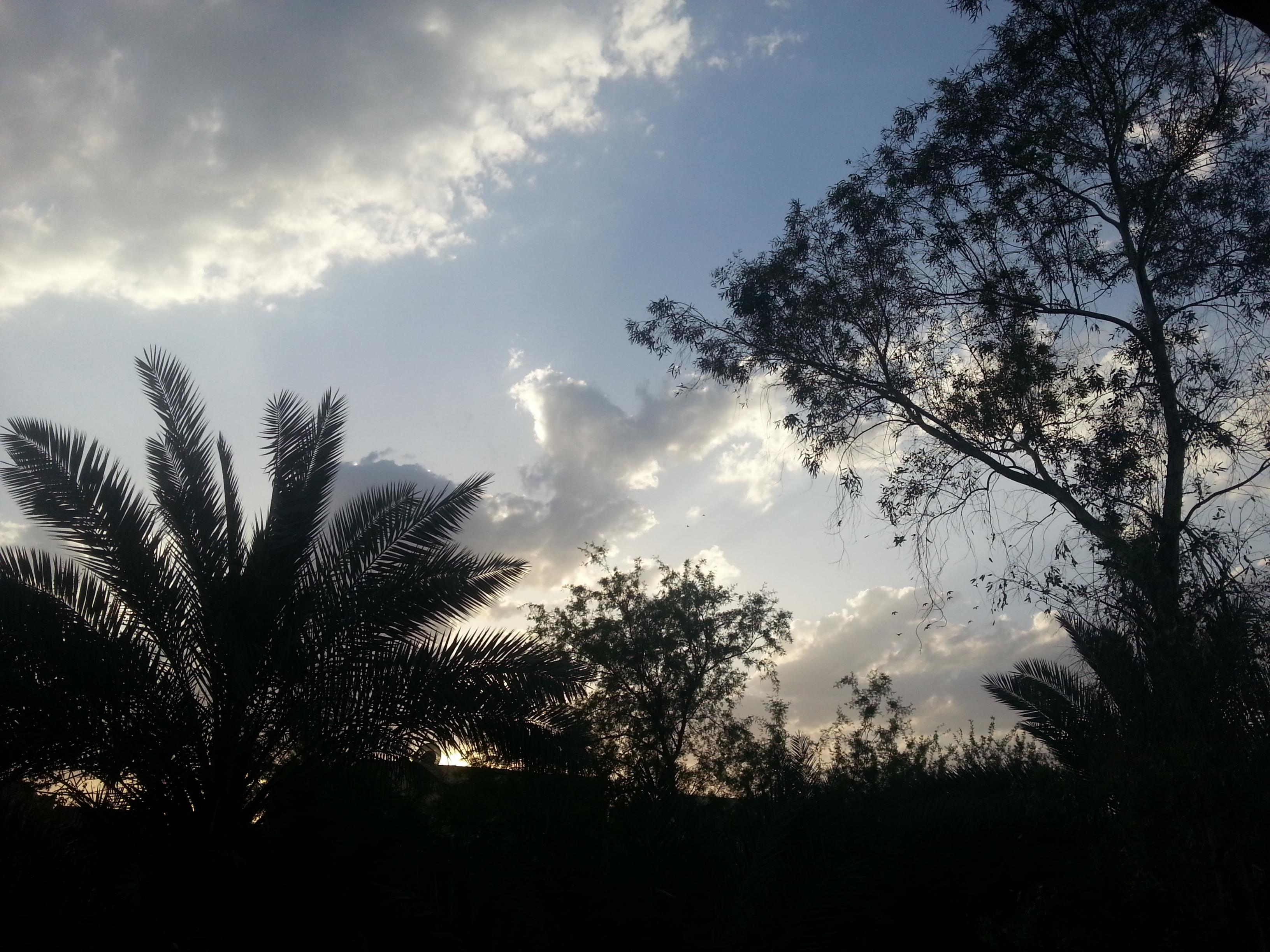 اضغط على الصورة لعرض أكبر.&nbsp;

الإسم:	20130419_175608.jpg&nbsp;
مشاهدات:	1&nbsp;
الحجم:	904.2 كيلوبايت&nbsp;
الهوية:	851782