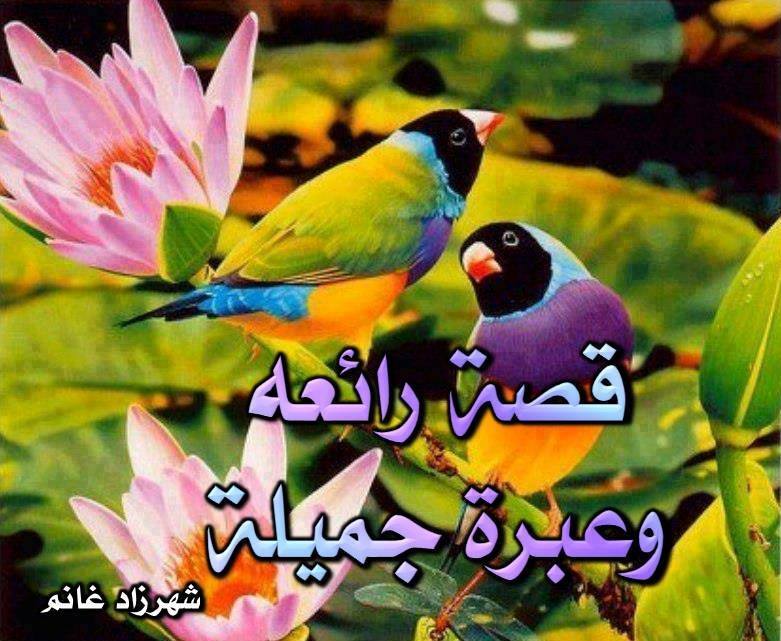 اضغط على الصورة لعرض أكبر.&nbsp;

الإسم:	1621986_510591039051494_450617344_n.jpg&nbsp;
مشاهدات:	1&nbsp;
الحجم:	82.5 كيلوبايت&nbsp;
الهوية:	834158