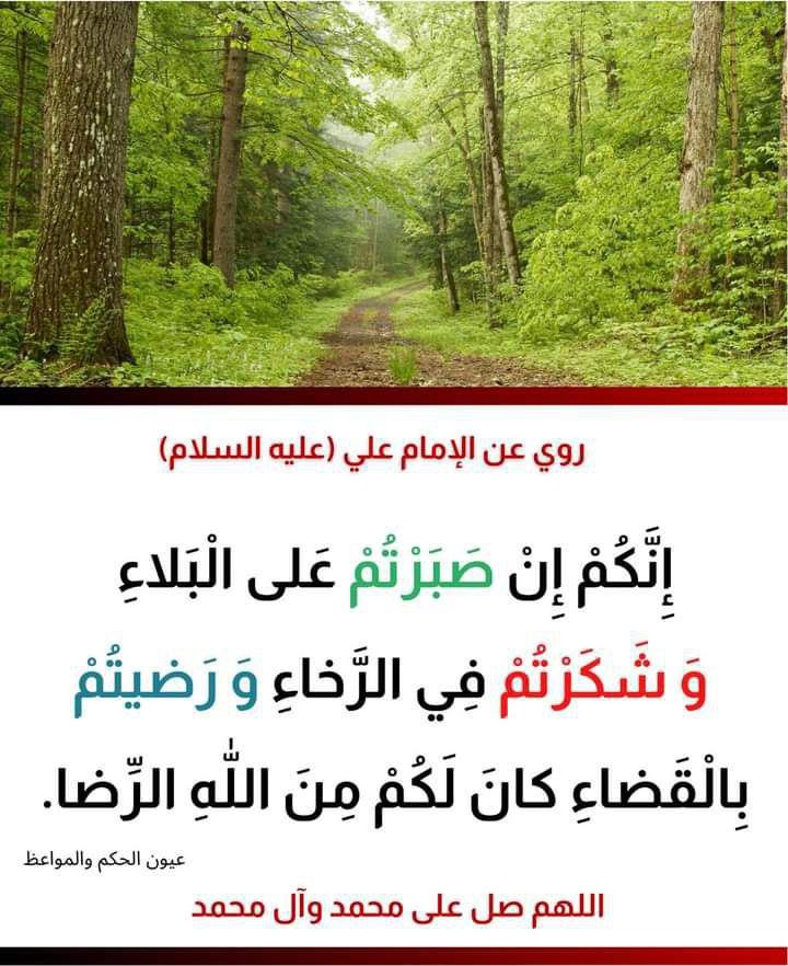 اضغط على الصورة لعرض أكبر.&nbsp;

الإسم:	photo_2021-09-13_05-36-55.jpg&nbsp;
مشاهدات:	385&nbsp;
الحجم:	145.9 كيلوبايت&nbsp;
الهوية:	925048