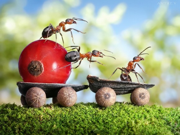 اضغط على الصورة لعرض أكبر.&nbsp;

الإسم:	ض6.jpg&nbsp;
مشاهدات:	1&nbsp;
الحجم:	80.2 كيلوبايت&nbsp;
الهوية:	849389