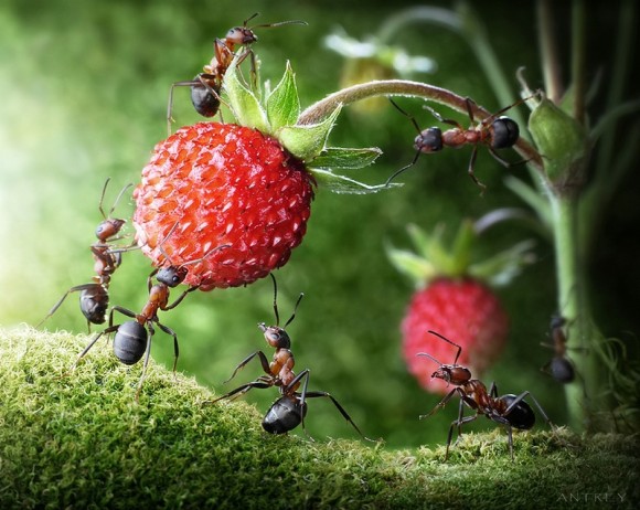 اضغط على الصورة لعرض أكبر.&nbsp;

الإسم:	ض9.jpg&nbsp;
مشاهدات:	1&nbsp;
الحجم:	81.7 كيلوبايت&nbsp;
الهوية:	849390