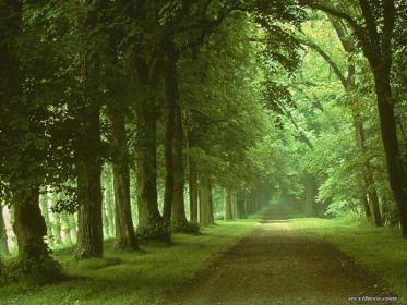 اضغط على الصورة لعرض أكبر.&nbsp;

الإسم:	14.jpg&nbsp;
مشاهدات:	1&nbsp;
الحجم:	23.8 كيلوبايت&nbsp;
الهوية:	849412