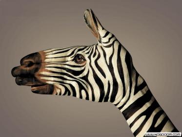اضغط على الصورة لعرض أكبر.&nbsp;

الإسم:	109.jpg&nbsp;
مشاهدات:	1&nbsp;
الحجم:	15.3 كيلوبايت&nbsp;
الهوية:	850019