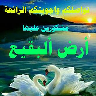 اضغط على الصورة لعرض أكبر.&nbsp;

الإسم:	1605424905934.jpg&nbsp;
مشاهدات:	917&nbsp;
الحجم:	112.0 كيلوبايت&nbsp;
الهوية:	901545
