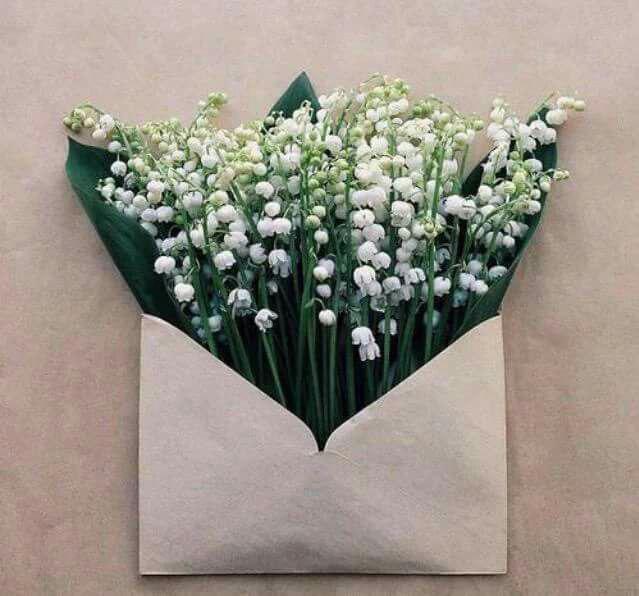 اضغط على الصورة لعرض أكبر.&nbsp;

الإسم:	photo_2016-09-28_23-51-10.jpg&nbsp;
مشاهدات:	1&nbsp;
الحجم:	48.4 كيلوبايت&nbsp;
الهوية:	859872