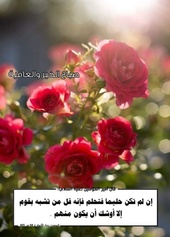 اضغط على الصورة لعرض أكبر.&nbsp;

الإسم:	photo_2022-06-26_14-37-03.jpg&nbsp;
مشاهدات:	370&nbsp;
الحجم:	112.1 كيلوبايت&nbsp;
الهوية:	949370