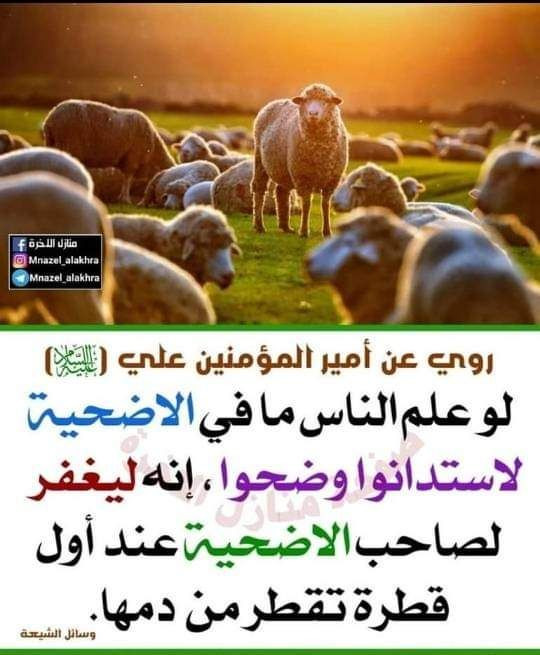 اضغط على الصورة لعرض أكبر.&nbsp;

الإسم:	photo_٢٠٢٣-٠٦-٢٧_١٣-٠٩-٥٠ (2).jpg&nbsp;
مشاهدات:	256&nbsp;
الحجم:	88.5 كيلوبايت&nbsp;
الهوية:	978439