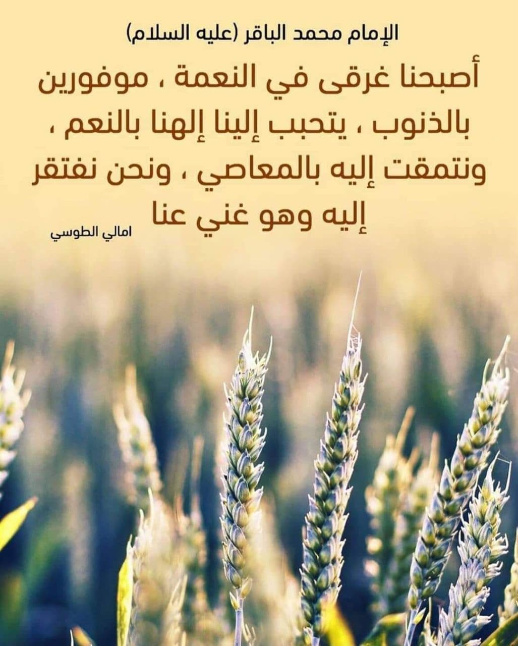 اضغط على الصورة لعرض أكبر.&nbsp;

الإسم:	photo_٢٠٢٢-٠١-٠٤_١٤-٢٥-٣٢.jpg&nbsp;
مشاهدات:	337&nbsp;
الحجم:	173.5 كيلوبايت&nbsp;
الهوية:	933233