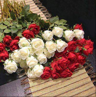 اضغط على الصورة لعرض أكبر.&nbsp;

الإسم:	13590305_150734958681999_9221476269711543947_n.jpg&nbsp;
مشاهدات:	1&nbsp;
الحجم:	36.4 كيلوبايت&nbsp;
الهوية:	859888