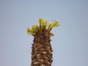 اضغط على الصورة لعرض أكبر.&nbsp;

الإسم:	535539_197394460378954_100003252037068_338274_686889127_a.jpg&nbsp;
مشاهدات:	1&nbsp;
الحجم:	3.6 كيلوبايت&nbsp;
الهوية:	849802