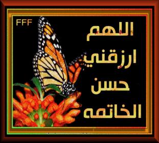 اضغط على الصورة لعرض أكبر.&nbsp;

الإسم:	O4J31079.jpg&nbsp;
مشاهدات:	1&nbsp;
الحجم:	20.6 كيلوبايت&nbsp;
الهوية:	847206
