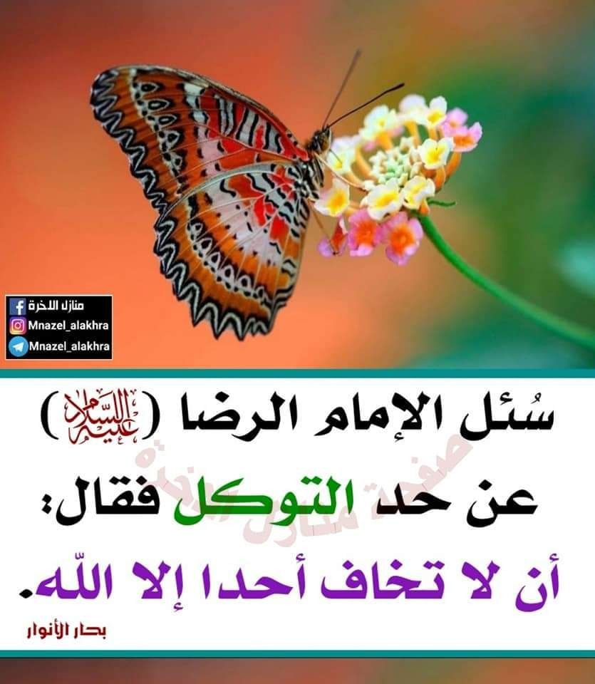 اضغط على الصورة لعرض أكبر.&nbsp;

الإسم:	photo_2023-01-01_12-03-36.jpg&nbsp;
مشاهدات:	224&nbsp;
الحجم:	137.2 كيلوبايت&nbsp;
الهوية:	963276
