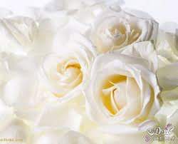 اضغط على الصورة لعرض أكبر.&nbsp;

الإسم:	received_236594423384920.jpeg&nbsp;
مشاهدات:	1&nbsp;
الحجم:	5.8 كيلوبايت&nbsp;
الهوية:	840652