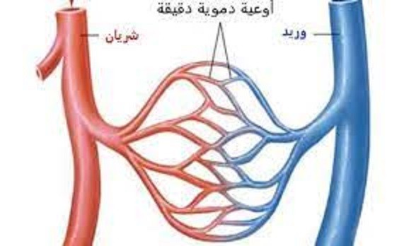 اضغط على الصورة لعرض أكبر.&nbsp;

الإسم:	49-67.jpg&nbsp;
مشاهدات:	512&nbsp;
الحجم:	36.4 كيلوبايت&nbsp;
الهوية:	939302
