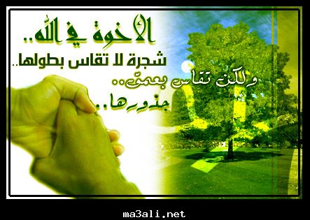 اضغط على الصورة لعرض أكبر.&nbsp;

الإسم:	nahralbared29183.jpg&nbsp;
مشاهدات:	1&nbsp;
الحجم:	34.3 كيلوبايت&nbsp;
الهوية:	834088
