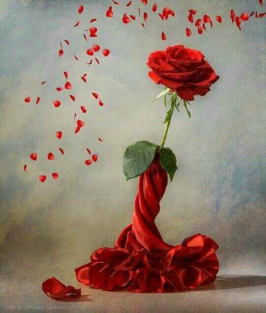 اضغط على الصورة لعرض أكبر.&nbsp;

الإسم:	photo_2017-01-31_22-03-40.jpg&nbsp;
مشاهدات:	465&nbsp;
الحجم:	52.7 كيلوبايت&nbsp;
الهوية:	924559