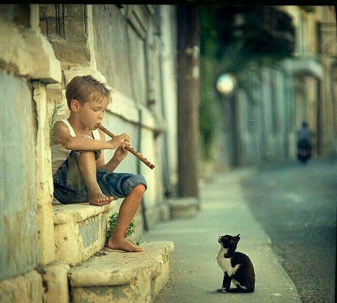 اضغط على الصورة لعرض أكبر.&nbsp;

الإسم:	photo_2016-09-07_15-05-55.jpg&nbsp;
مشاهدات:	714&nbsp;
الحجم:	107.0 كيلوبايت&nbsp;
الهوية:	893140