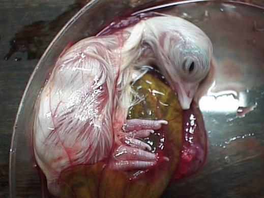 اضغط على الصورة لعرض أكبر.&nbsp;

الإسم:	13.jpg&nbsp;
مشاهدات:	1&nbsp;
الحجم:	38.5 كيلوبايت&nbsp;
الهوية:	847369