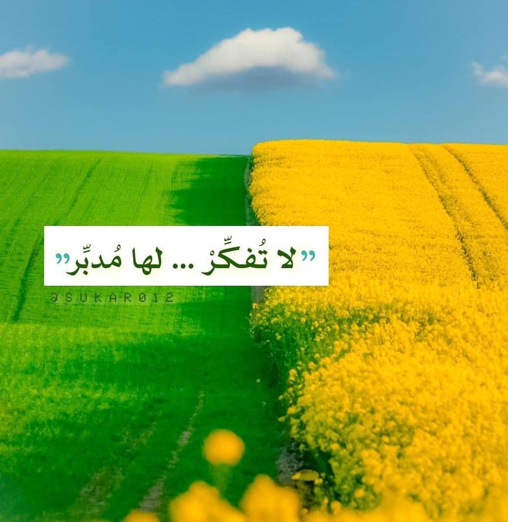 اضغط على الصورة لعرض أكبر.&nbsp;

الإسم:	photo_2020-10-12_11-19-41.jpg&nbsp;
مشاهدات:	1807&nbsp;
الحجم:	152.2 كيلوبايت&nbsp;
الهوية:	898432