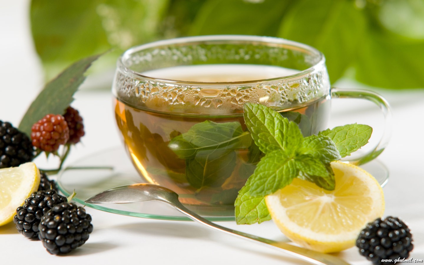 اضغط على الصورة لعرض أكبر.&nbsp;

الإسم:	green-tea.jpg&nbsp;
مشاهدات:	1&nbsp;
الحجم:	184.5 كيلوبايت&nbsp;
الهوية:	849302