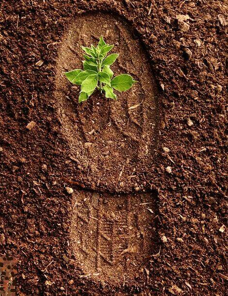 اضغط على الصورة لعرض أكبر.&nbsp;

الإسم:	photo_2016-09-27_22-43-13.jpg&nbsp;
مشاهدات:	2&nbsp;
الحجم:	131.5 كيلوبايت&nbsp;
الهوية:	863845
