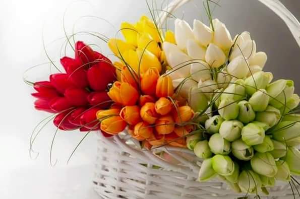 اضغط على الصورة لعرض أكبر.&nbsp;

الإسم:	FB_IMG_1459114256314.jpg&nbsp;
مشاهدات:	2&nbsp;
الحجم:	25.9 كيلوبايت&nbsp;
الهوية:	860019