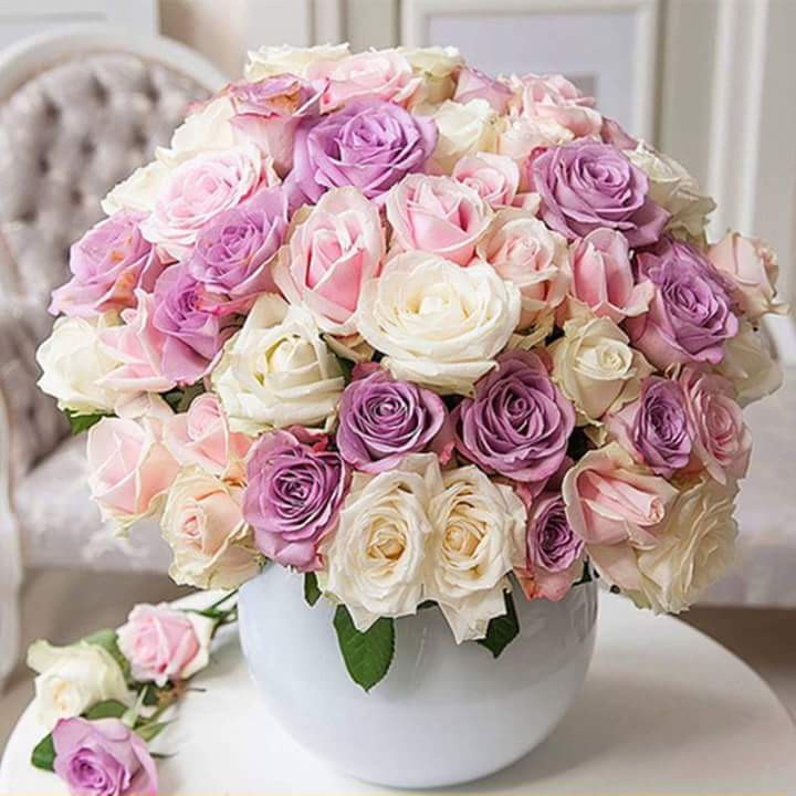 اضغط على الصورة لعرض أكبر.&nbsp;

الإسم:	12661953_1972663512958669_6313031533679453274_n.jpg&nbsp;
مشاهدات:	996&nbsp;
الحجم:	119.8 كيلوبايت&nbsp;
الهوية:	975889