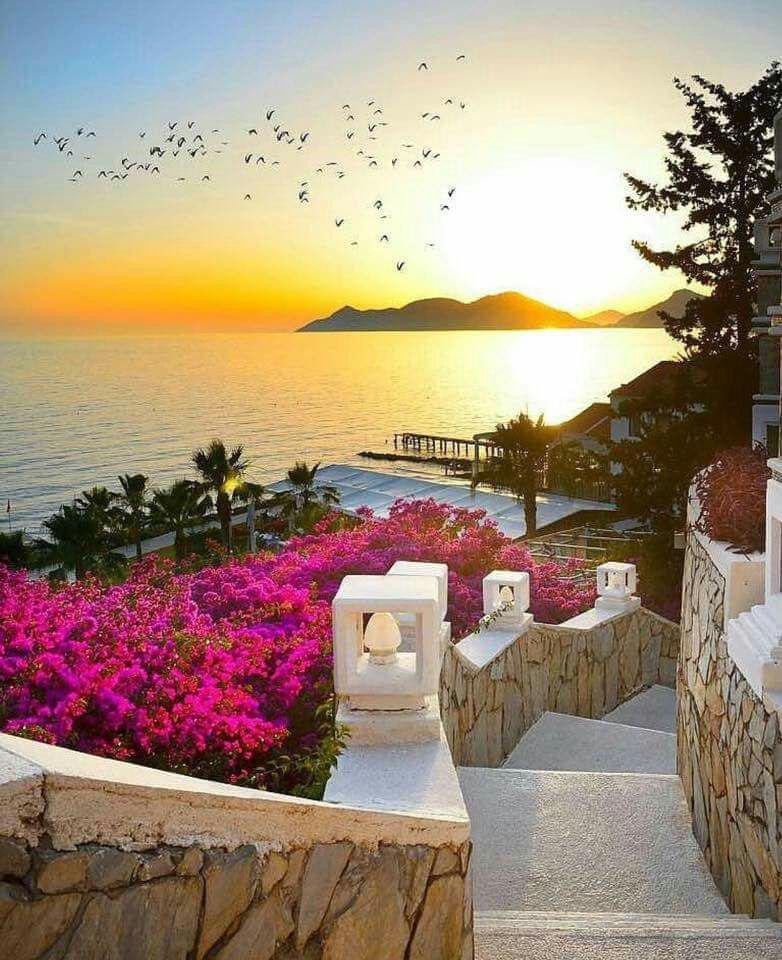 اضغط على الصورة لعرض أكبر.&nbsp;

الإسم:	photo_2016-09-23_16-26-49.jpg&nbsp;
مشاهدات:	547&nbsp;
الحجم:	184.7 كيلوبايت&nbsp;
الهوية:	907326