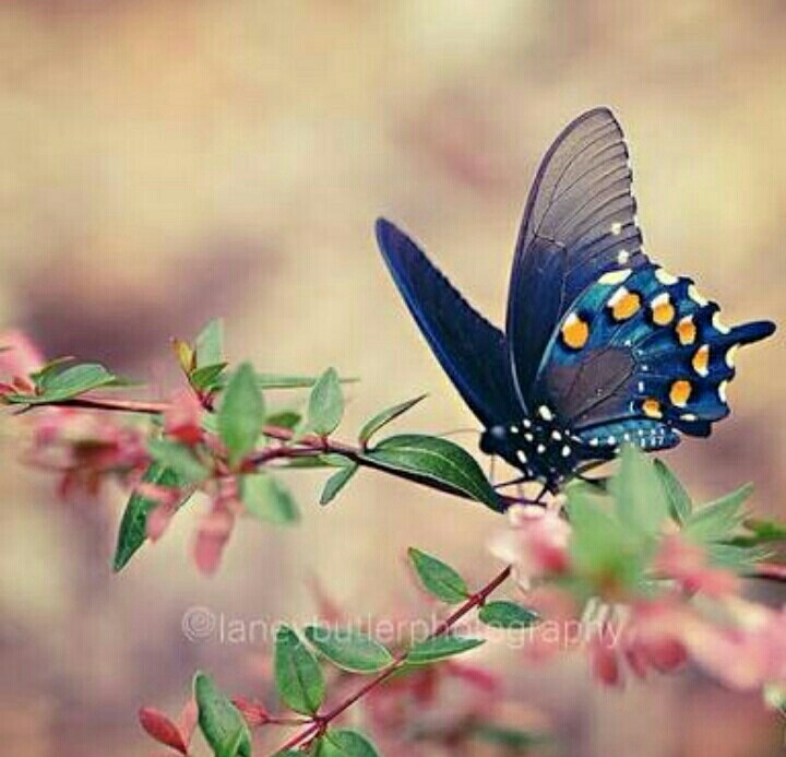 اضغط على الصورة لعرض أكبر.&nbsp;

الإسم:	image-ae0321e0934fa4a1ff0dcf3d6c594ab73e58afa61c03f15e76edcc6c52f9344c-V.jpg&nbsp;
مشاهدات:	569&nbsp;
الحجم:	89.6 كيلوبايت&nbsp;
الهوية:	905251