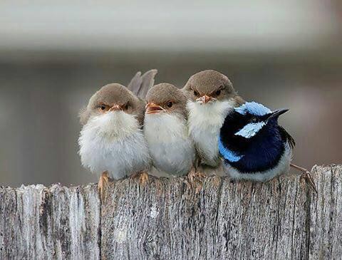 اضغط على الصورة لعرض أكبر.&nbsp;

الإسم:	photo_2016-12-21_20-25-58.jpg&nbsp;
مشاهدات:	671&nbsp;
الحجم:	48.4 كيلوبايت&nbsp;
الهوية:	900577