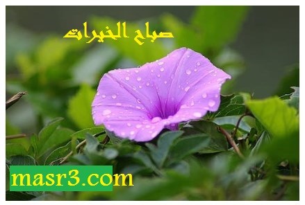 اضغط على الصورة لعرض أكبر.   الإسم:	Screenshot_16-1.jpg  مشاهدات:	9  الحجم:	32.8 كيلوبايت  الهوية:	878749