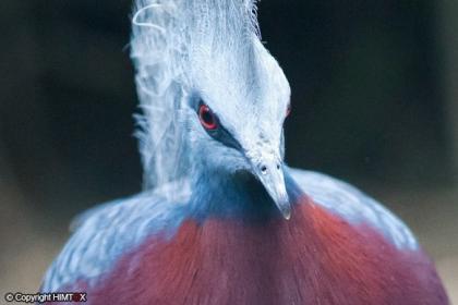 اضغط على الصورة لعرض أكبر.&nbsp;

الإسم:	65.jpg&nbsp;
مشاهدات:	1&nbsp;
الحجم:	13.8 كيلوبايت&nbsp;
الهوية:	849471