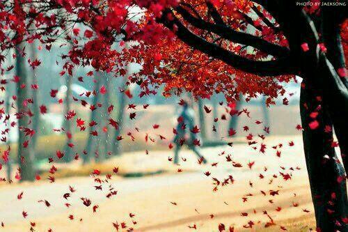 اضغط على الصورة لعرض أكبر.&nbsp;

الإسم:	photo_2017-10-21_22-04-21.jpg&nbsp;
مشاهدات:	2&nbsp;
الحجم:	46.4 كيلوبايت&nbsp;
الهوية:	861676