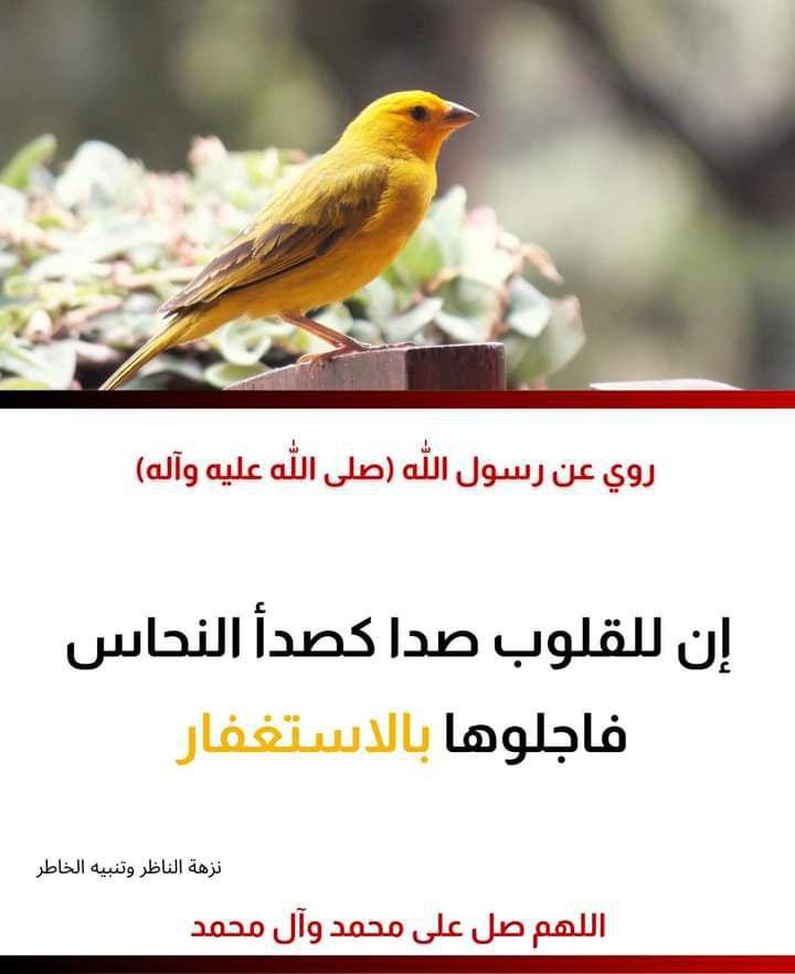 اضغط على الصورة لعرض أكبر.&nbsp;

الإسم:	photo_2021-09-13_05-35-31.jpg&nbsp;
مشاهدات:	488&nbsp;
الحجم:	68.3 كيلوبايت&nbsp;
الهوية:	924181