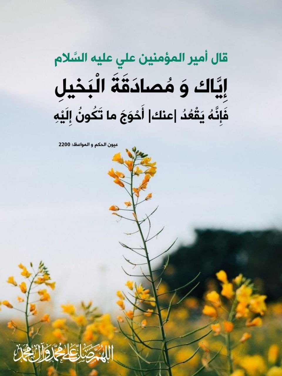 اضغط على الصورة لعرض أكبر.&nbsp;

الإسم:	photo_2021-11-08_10-02-01.jpg&nbsp;
مشاهدات:	1755&nbsp;
الحجم:	130.6 كيلوبايت&nbsp;
الهوية:	928780