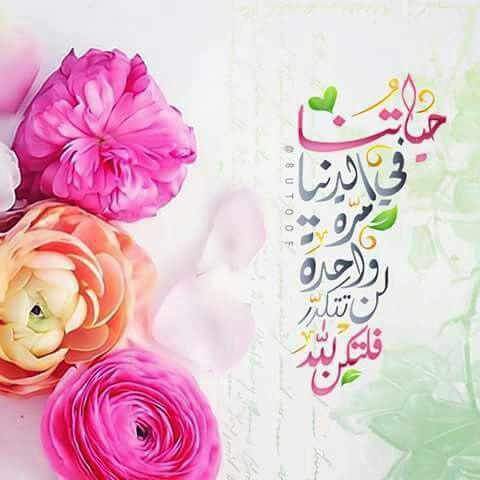 اضغط على الصورة لعرض أكبر.&nbsp;

الإسم:	photo_2016-07-12_00-10-19.jpg&nbsp;
مشاهدات:	1&nbsp;
الحجم:	28.7 كيلوبايت&nbsp;
الهوية:	860134
