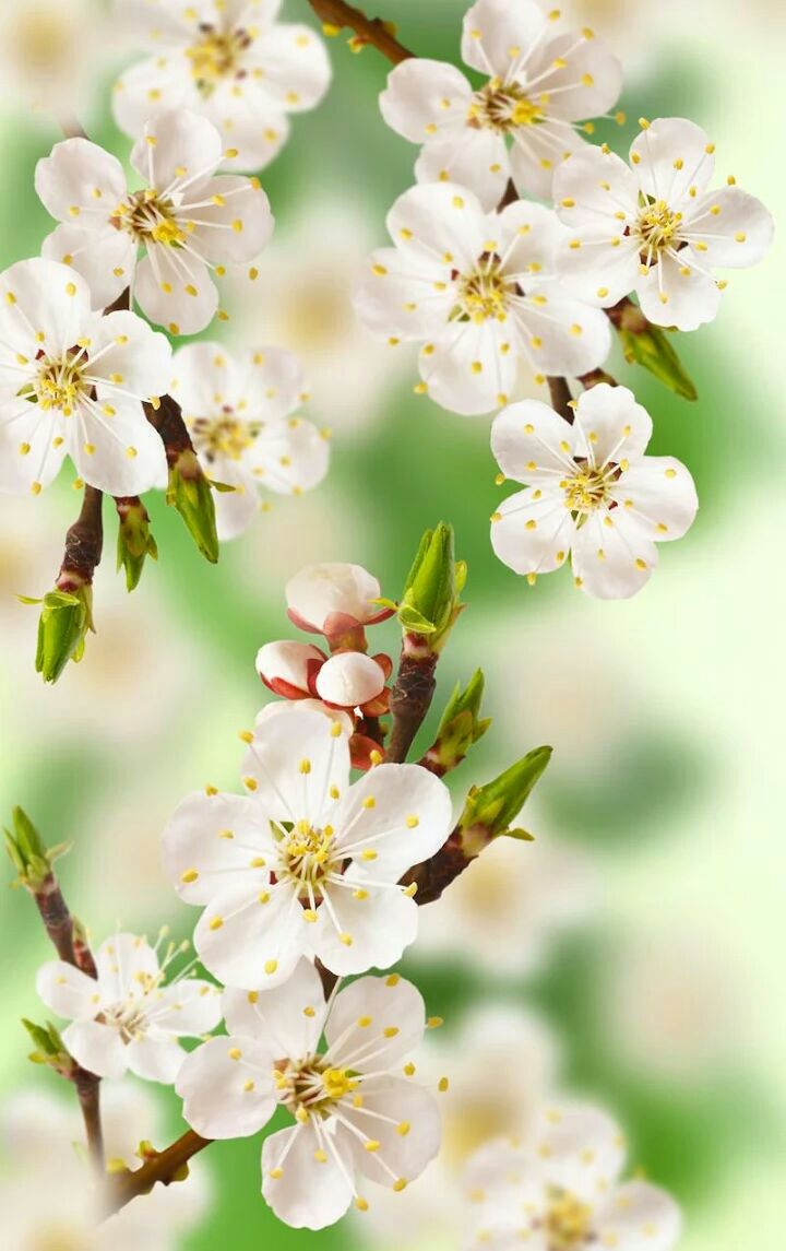 اضغط على الصورة لعرض أكبر.&nbsp;

الإسم:	IMG_20160401_151916.jpg&nbsp;
مشاهدات:	1&nbsp;
الحجم:	91.2 كيلوبايت&nbsp;
الهوية:	861339