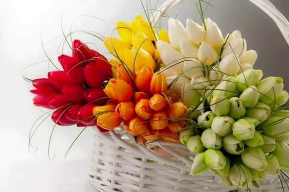 اضغط على الصورة لعرض أكبر.&nbsp;

الإسم:	FB_IMG_1459114256314.jpg&nbsp;
مشاهدات:	424&nbsp;
الحجم:	42.1 كيلوبايت&nbsp;
الهوية:	897466