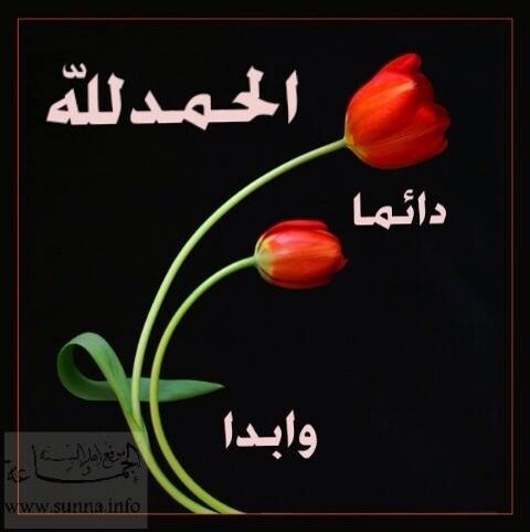اضغط على الصورة لعرض أكبر.&nbsp;

الإسم:	image-9f5bc3fe37eb9a2850904c521b4a5ed5d6e4a11b1f2f09853b2a2acf90534428-V.jpg&nbsp;
مشاهدات:	2&nbsp;
الحجم:	33.7 كيلوبايت&nbsp;
الهوية:	864556