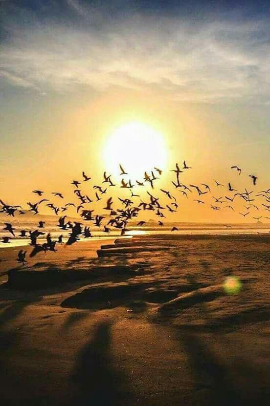 اضغط على الصورة لعرض أكبر.&nbsp;

الإسم:	photo_2016-05-29_22-57-01.jpg&nbsp;
مشاهدات:	700&nbsp;
الحجم:	67.5 كيلوبايت&nbsp;
الهوية:	872382