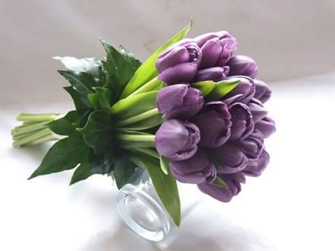 اضغط على الصورة لعرض أكبر.&nbsp;

الإسم:	FB_IMG_1516649795978.jpg&nbsp;
مشاهدات:	1&nbsp;
الحجم:	14.2 كيلوبايت&nbsp;
الهوية:	862068