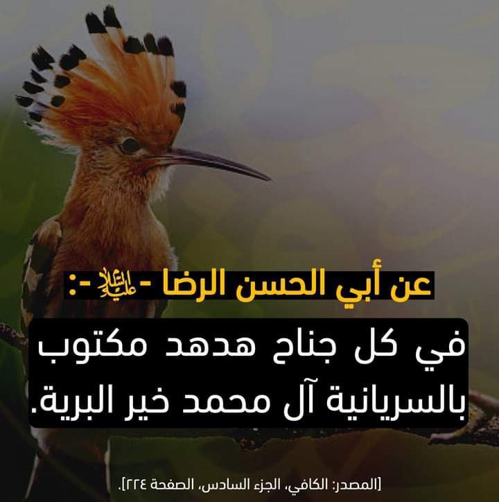 اضغط على الصورة لعرض أكبر.&nbsp;

الإسم:	photo_2022-05-22_15-04-00.jpg&nbsp;
مشاهدات:	390&nbsp;
الحجم:	60.8 كيلوبايت&nbsp;
الهوية:	947184