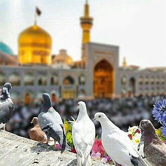 اضغط على الصورة لعرض أكبر.&nbsp;

الإسم:	photo_2021-06-22_13-05-17.jpg&nbsp;
مشاهدات:	627&nbsp;
الحجم:	84.5 كيلوبايت&nbsp;
الهوية:	919293
