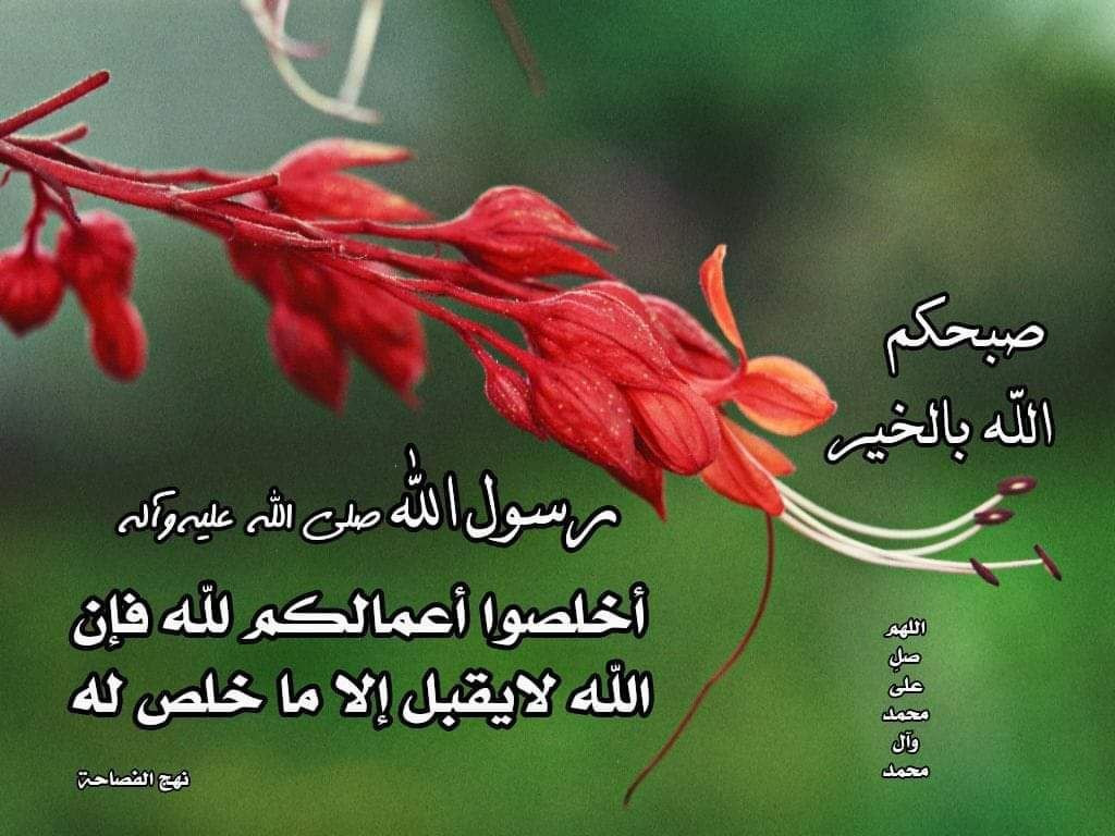 اضغط على الصورة لعرض أكبر.&nbsp;

الإسم:	photo_2023-12-13_13-52-35.jpg&nbsp;
مشاهدات:	223&nbsp;
الحجم:	186.7 كيلوبايت&nbsp;
الهوية:	998664