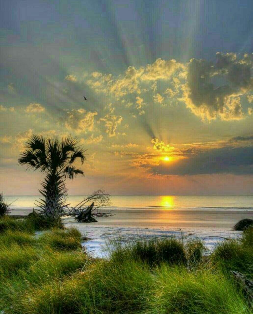 اضغط على الصورة لعرض أكبر.&nbsp;

الإسم:	photo_2017-09-26_10-42-17.jpg&nbsp;
مشاهدات:	433&nbsp;
الحجم:	215.1 كيلوبايت&nbsp;
الهوية:	921903
