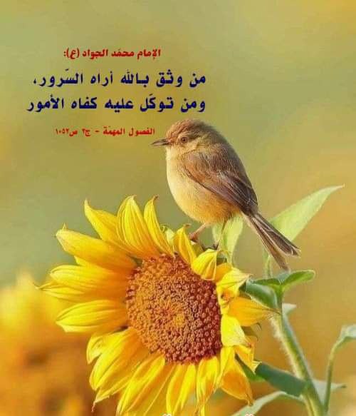 اضغط على الصورة لعرض أكبر.&nbsp;

الإسم:	photo_2022-03-30_13-04-02.jpg&nbsp;
مشاهدات:	1260&nbsp;
الحجم:	45.7 كيلوبايت&nbsp;
الهوية:	941889