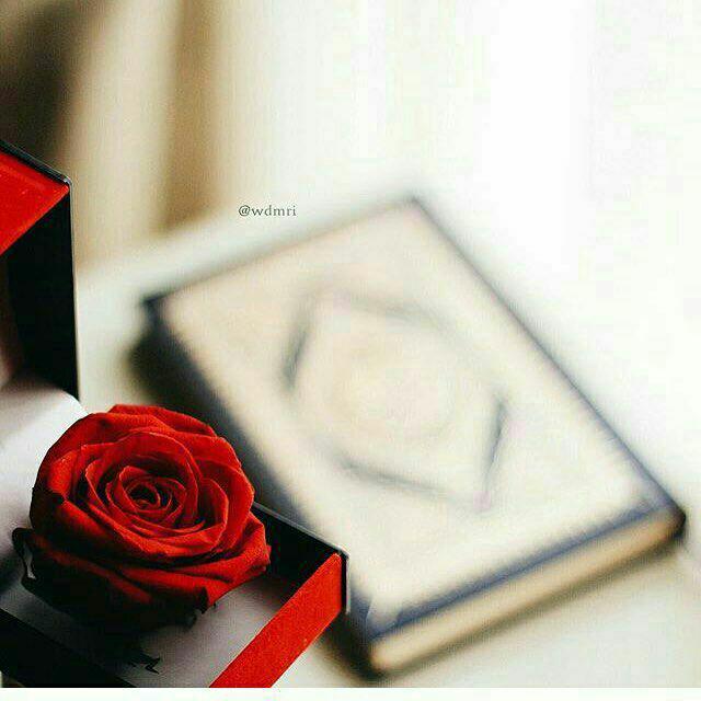 اضغط على الصورة لعرض أكبر.&nbsp;

الإسم:	photo_2016-10-20_22-03-58.jpg&nbsp;
مشاهدات:	4&nbsp;
الحجم:	41.7 كيلوبايت&nbsp;
الهوية:	840936