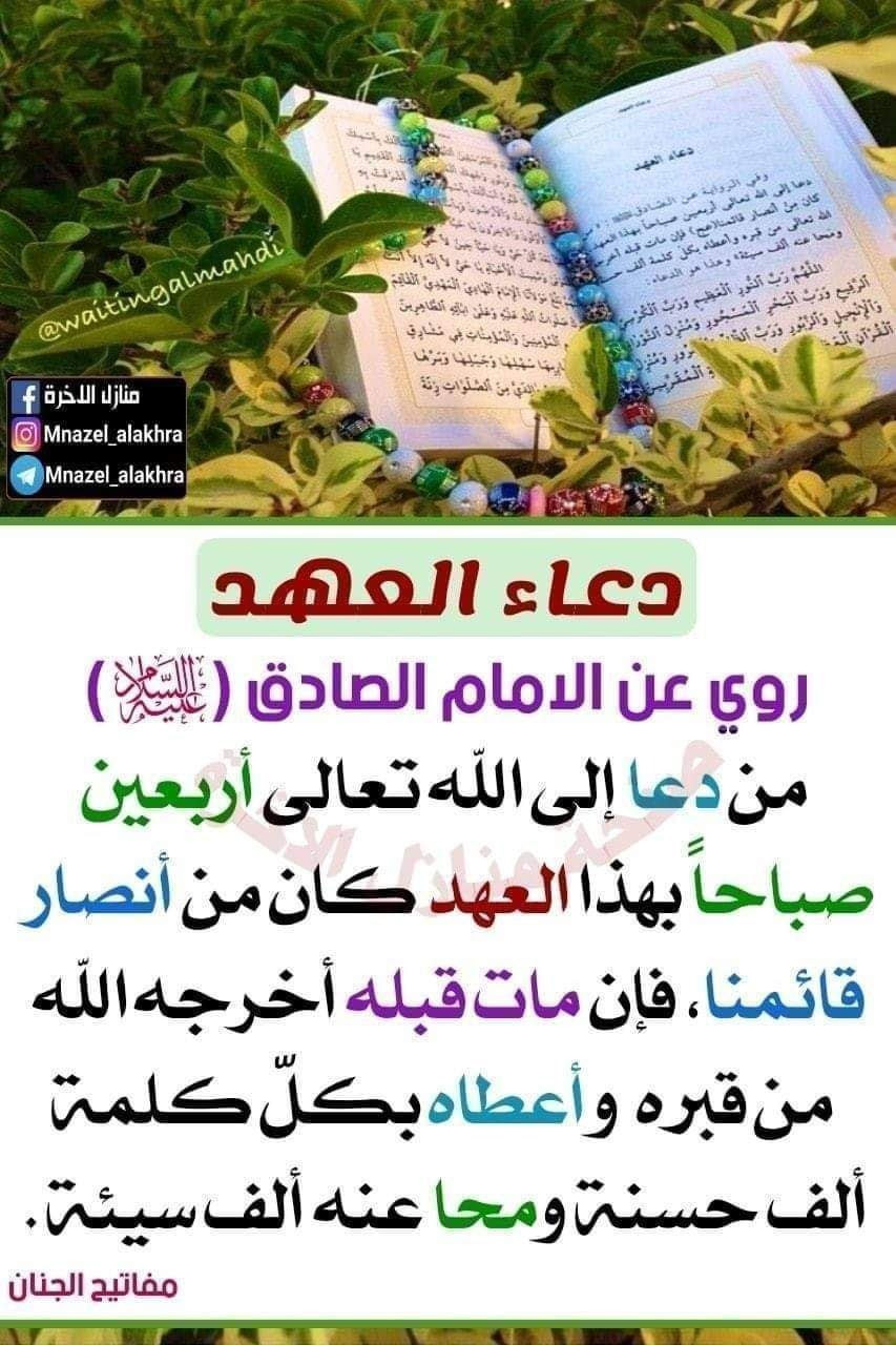 اضغط على الصورة لعرض أكبر.&nbsp;

الإسم:	210022902_1693444260840737_4586332294976465194_n.jpg&nbsp;
مشاهدات:	650&nbsp;
الحجم:	257.3 كيلوبايت&nbsp;
الهوية:	991450