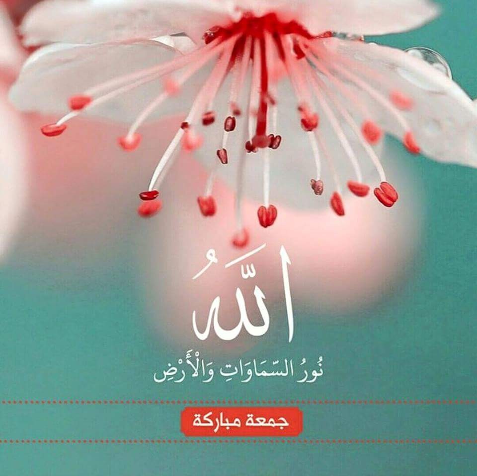 اضغط على الصورة لعرض أكبر.&nbsp;

الإسم:	IMG_94122001811276.jpeg&nbsp;
مشاهدات:	460&nbsp;
الحجم:	93.3 كيلوبايت&nbsp;
الهوية:	903474