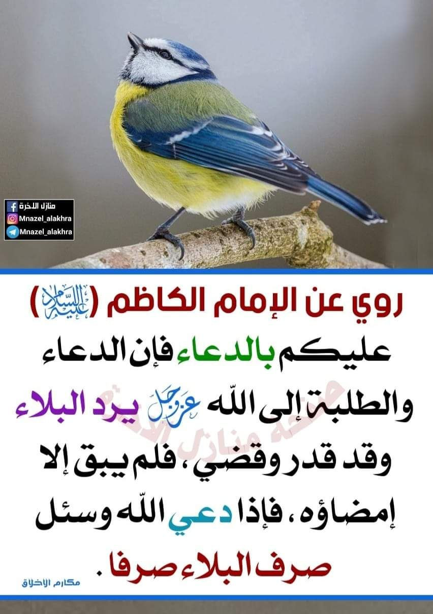 اضغط على الصورة لعرض أكبر.&nbsp;

الإسم:	photo_2023-02-18_12-57-11.jpg&nbsp;
مشاهدات:	214&nbsp;
الحجم:	173.2 كيلوبايت&nbsp;
الهوية:	967111